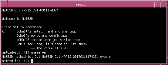 NetBSD 7.1 on a Raspberry Pi 2